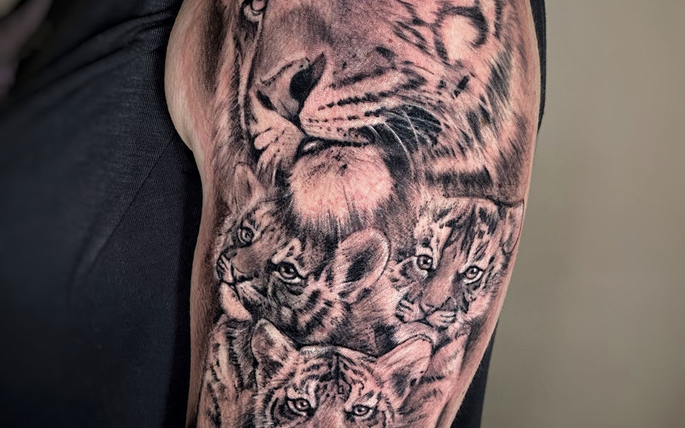 Tatuatge realista d'un lleó amb les seves cries en un braç